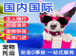 喀什航空邮寄国际宠物托运 【国